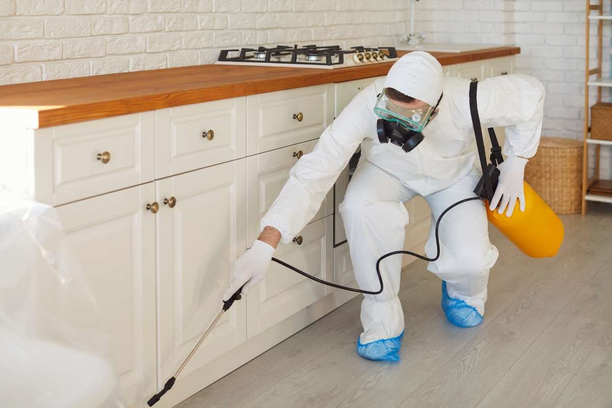 How Eavestrough Repair in Calgary Prevents Costly Water Damage? | The Enterprise World