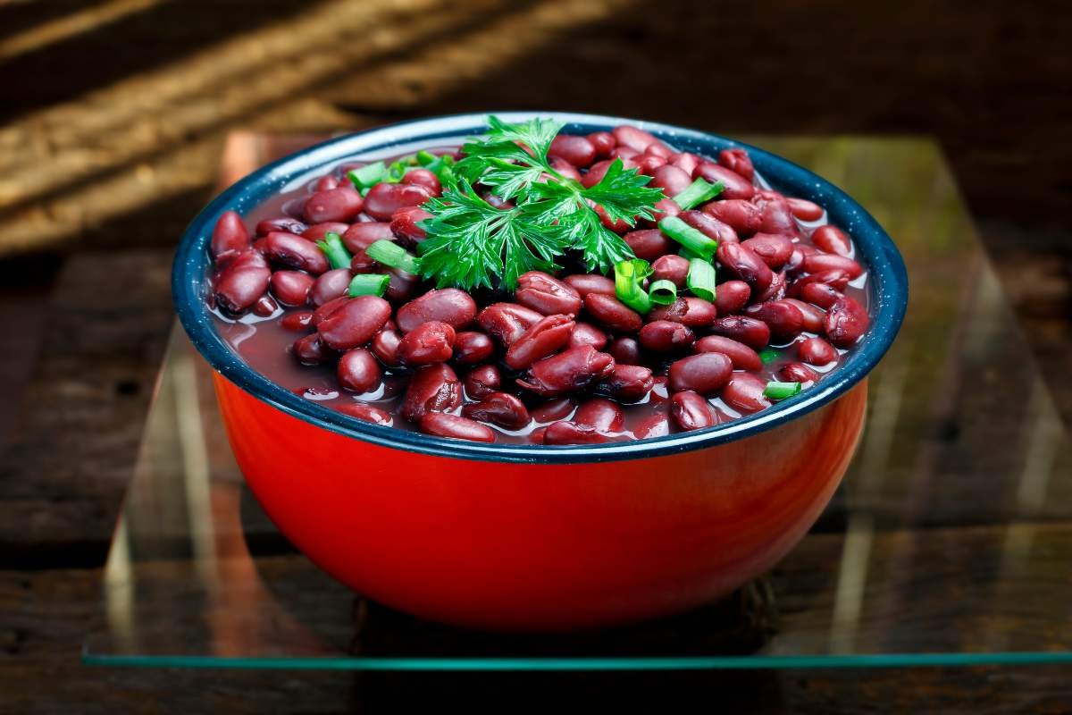 Plant Power: 20 Best Protein Sources for Vegans You Must Know | The Enterprise World