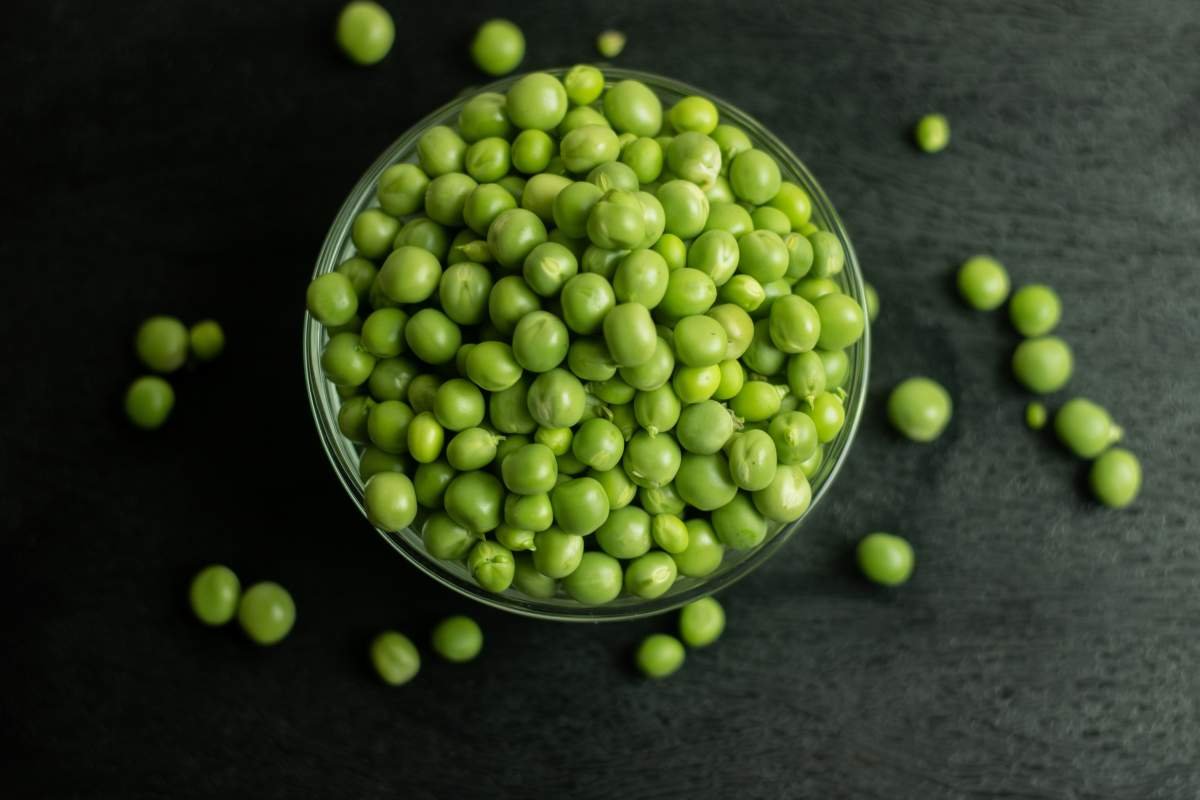 Plant Power: 20 Best Protein Sources for Vegans You Must Know | The Enterprise World