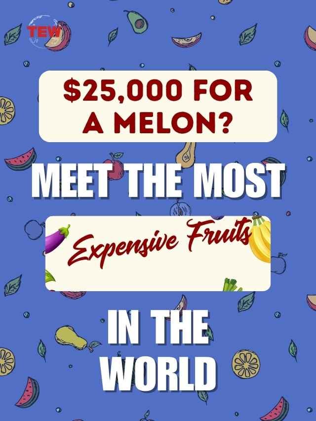 $25,000 for a Melon? Meet the Most Expensive Fruits in the World | The Enterprise World