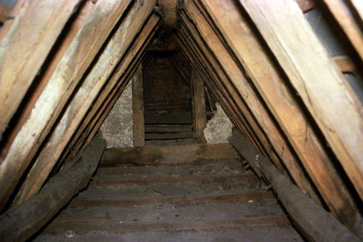 7 Commercial Pest Prevention Gaps in the Workplace to Fix Now | The Enterprise World