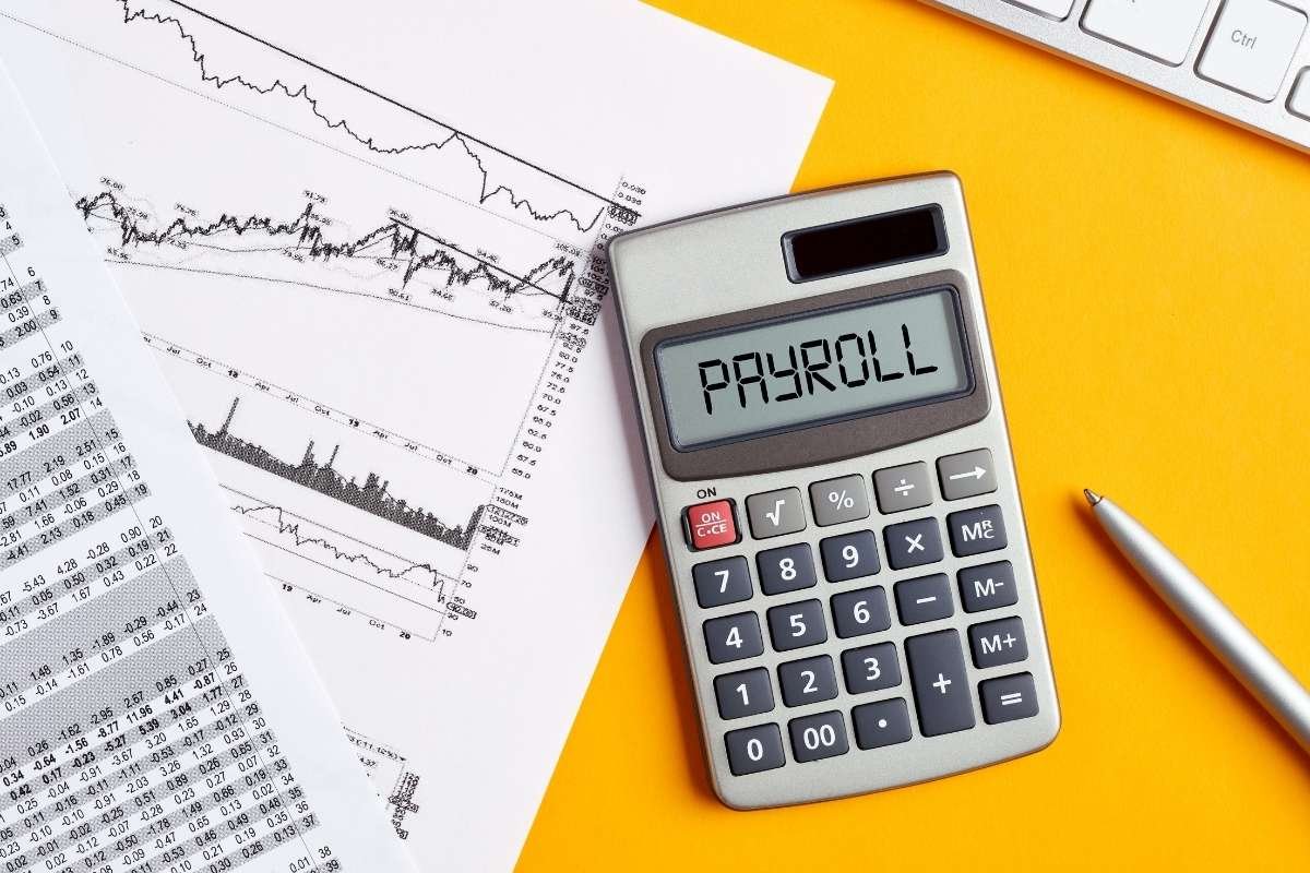 Customizable Payroll Software Solutions for Diverse Business Models | The Enterprise World