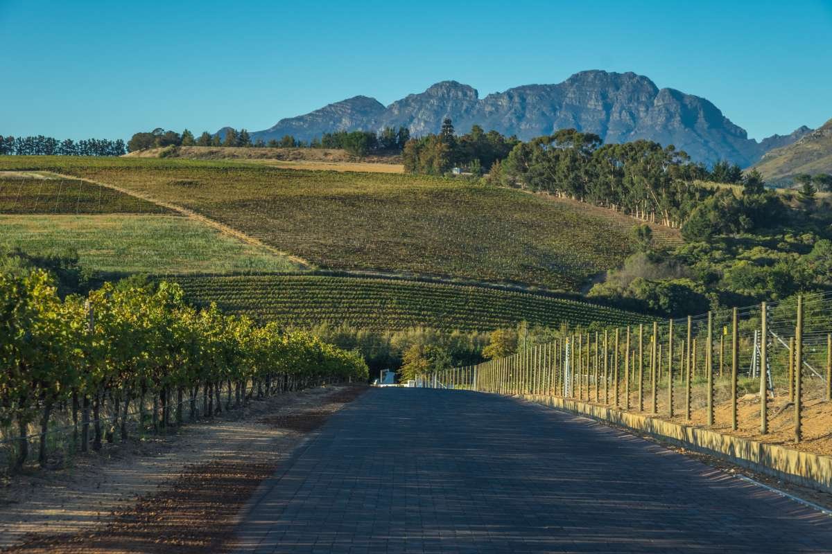 Best Wine Destinations to Visit 2026: Bold, Proven Travel Spots | The Enterprise World