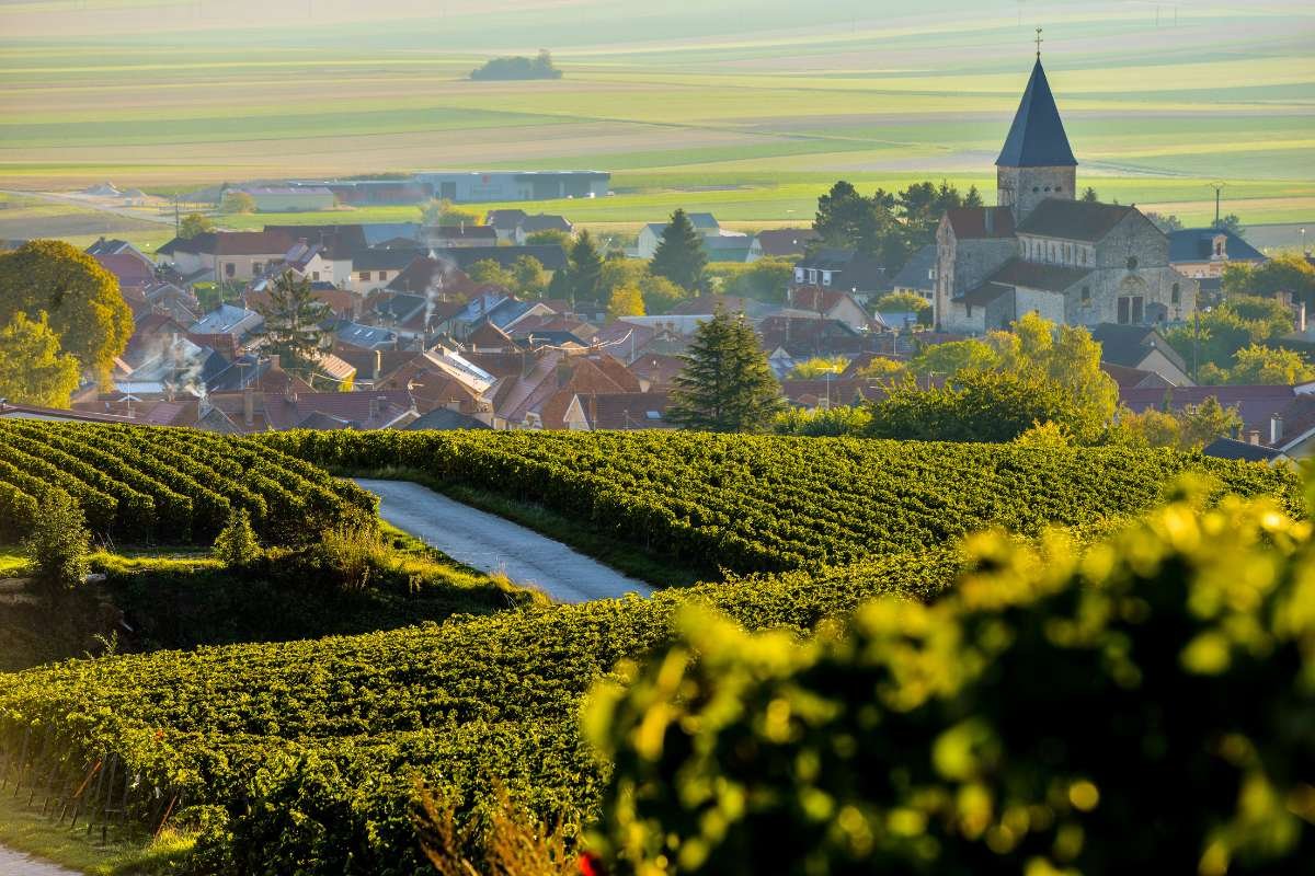 Best Wine Destinations to Visit 2026: Bold, Proven Travel Spots | The Enterprise World