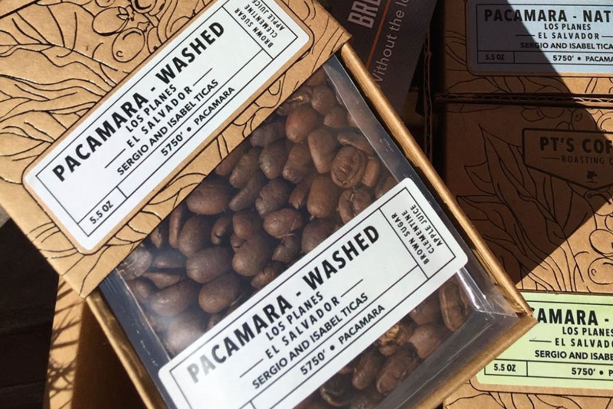 Most Expensive Coffee in The World: Choices That Make You Feel Like Royalty | The Enterprise World