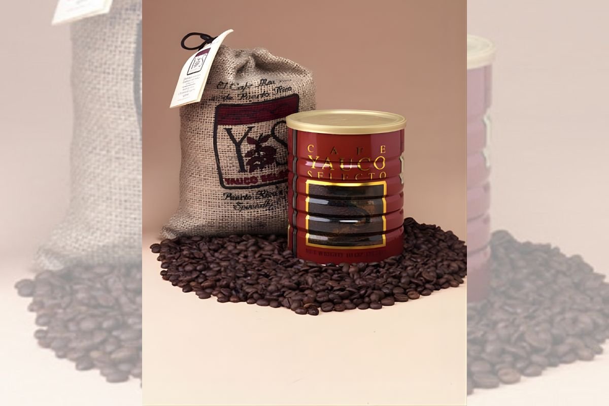 Most Expensive Coffee in The World: Choices That Make You Feel Like Royalty | The Enterprise World