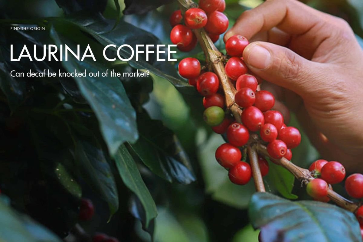 Most Expensive Coffee in The World: Choices That Make You Feel Like Royalty | The Enterprise World