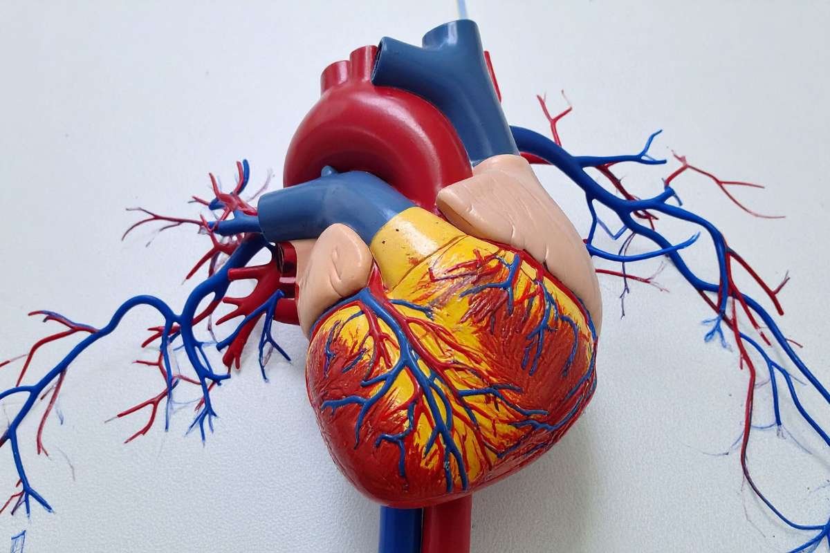 Hexarelin Research Peptide: Growth Hormone Secretagogue | The Enterprise World