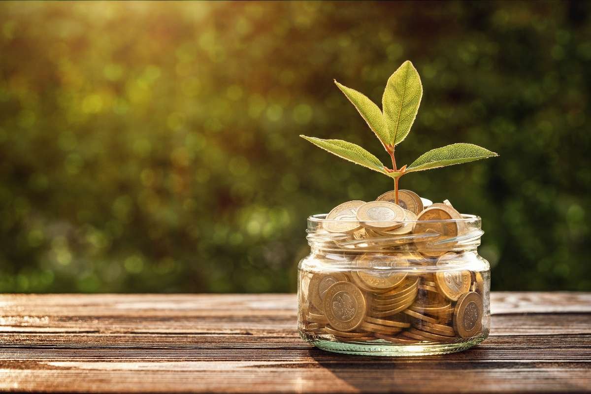 What is a Savings Plan – Comprehensive Wealth Guide | The Enterprise World