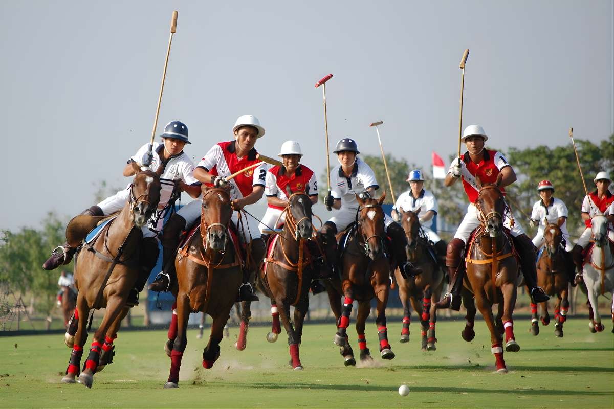 Why These Are the Most Expensive Sports in The World That Only a Few Can Afford | The Enterprise World