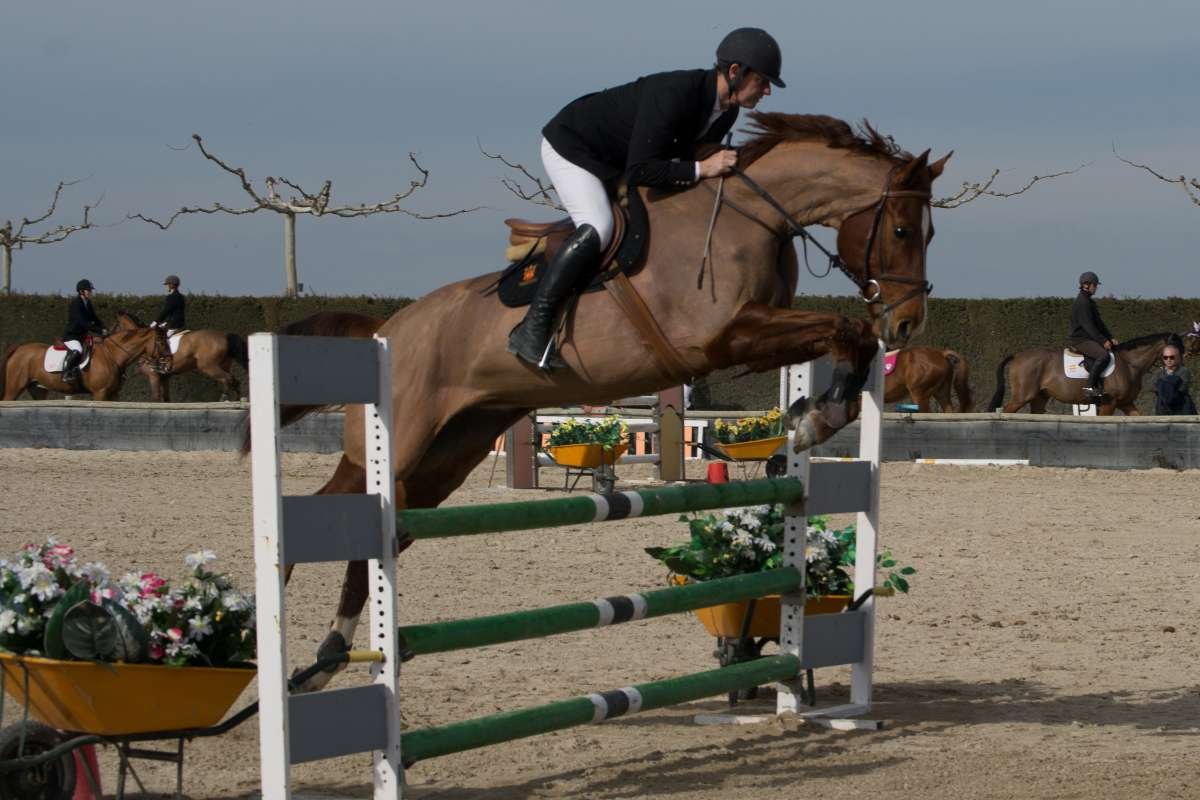 Why These Are the Most Expensive Sports in The World That Only a Few Can Afford | The Enterprise World