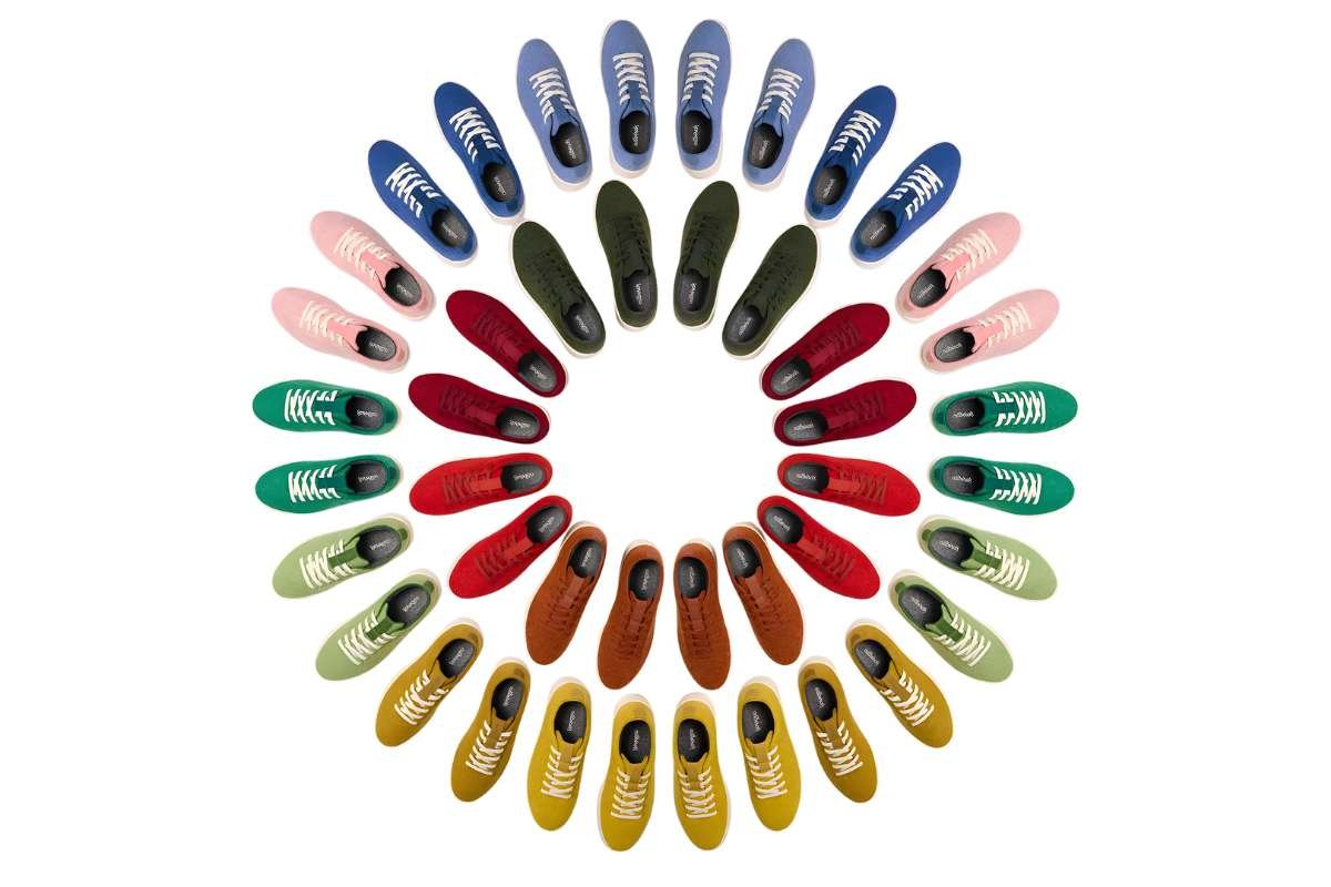 How Allbirds Won Hearts in a Crowded Sneaker Market? | The Enterprise World