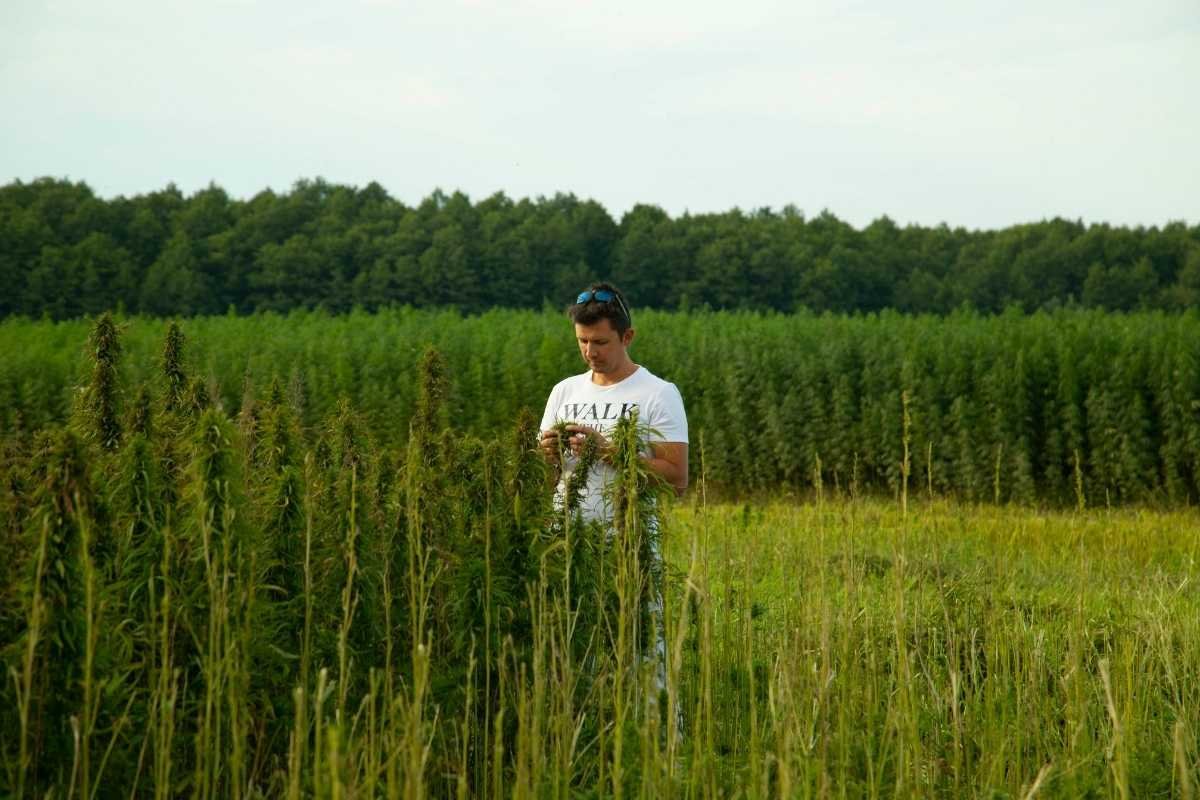 Endoca: Henry Vincenty - A Life’s Work Dedicated to Honest Medicine | The Enterprise World