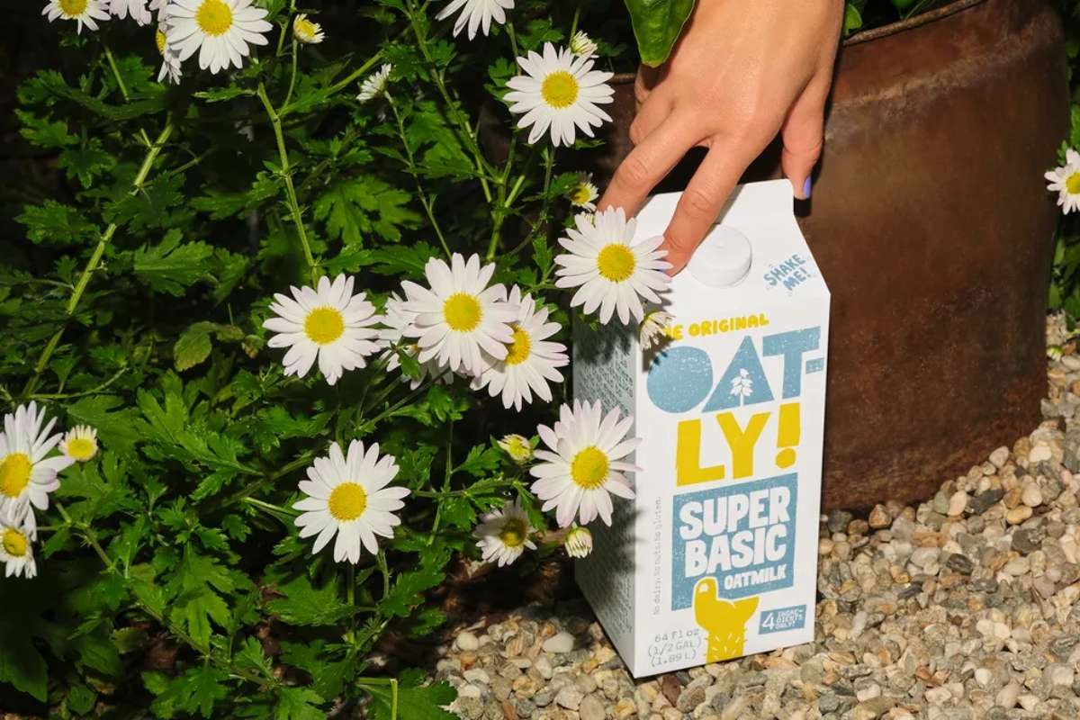 Packaging That Talks Back: Oatly's Bold Branding Journey | The Enterprise World