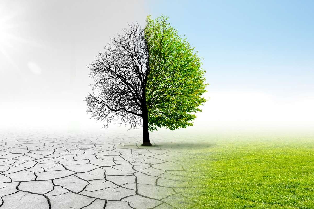 Climate Change Action: Government Duty or Corporate Responsibility? | The Enterprise World