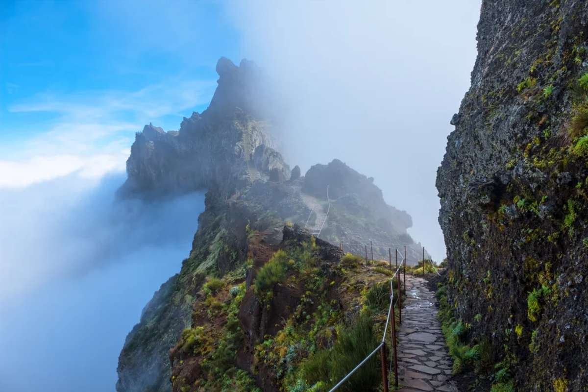 Madeira’s Two Worlds: A Story of Beauty and Ambition, Magic and Market | The Enterprise World