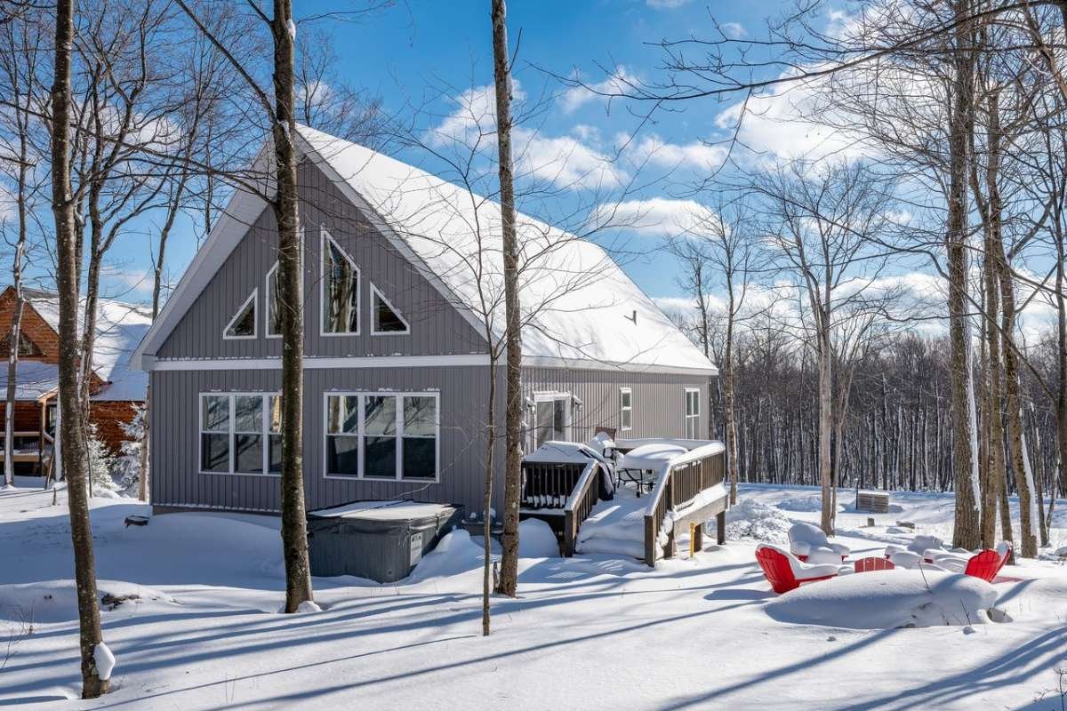 Bearadise Review: Maximize Your Vacation Rental Investments | The Enterprise World