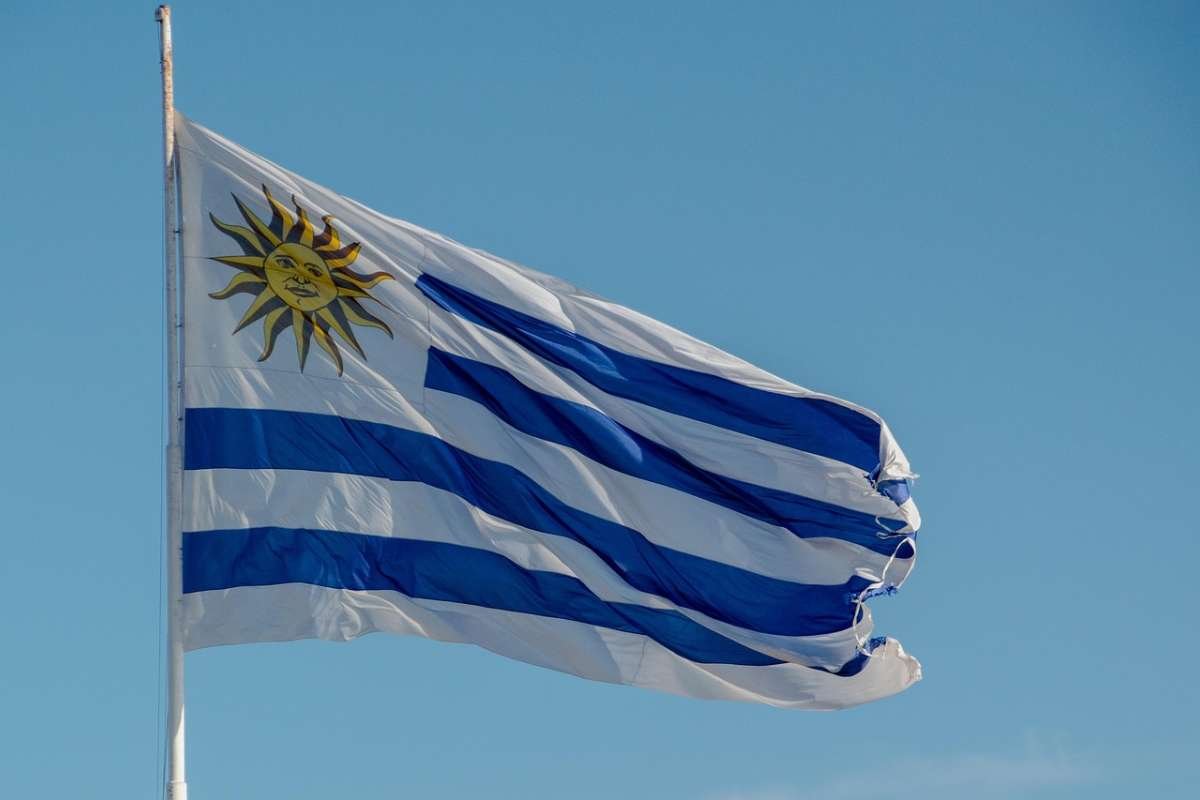 Countries with Blue and White Flags: 12 Nations Explained | The Enterprise World