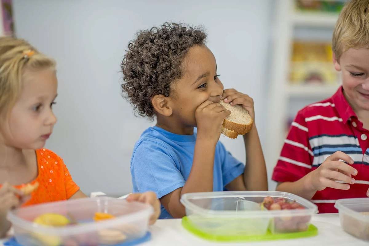 Clean Ingredients for Babies: Building a Strong Health Foundation | The Enterprise World