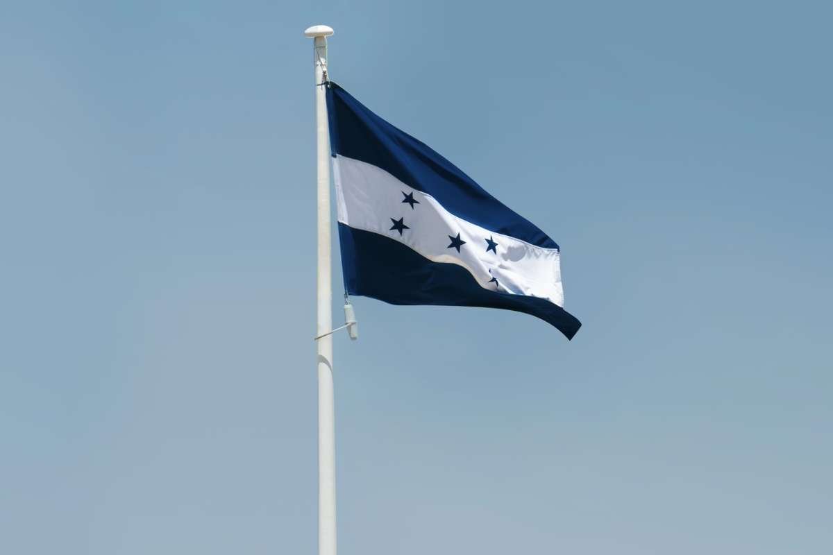 Countries with Blue and White Flags: 12 Nations Explained | The Enterprise World