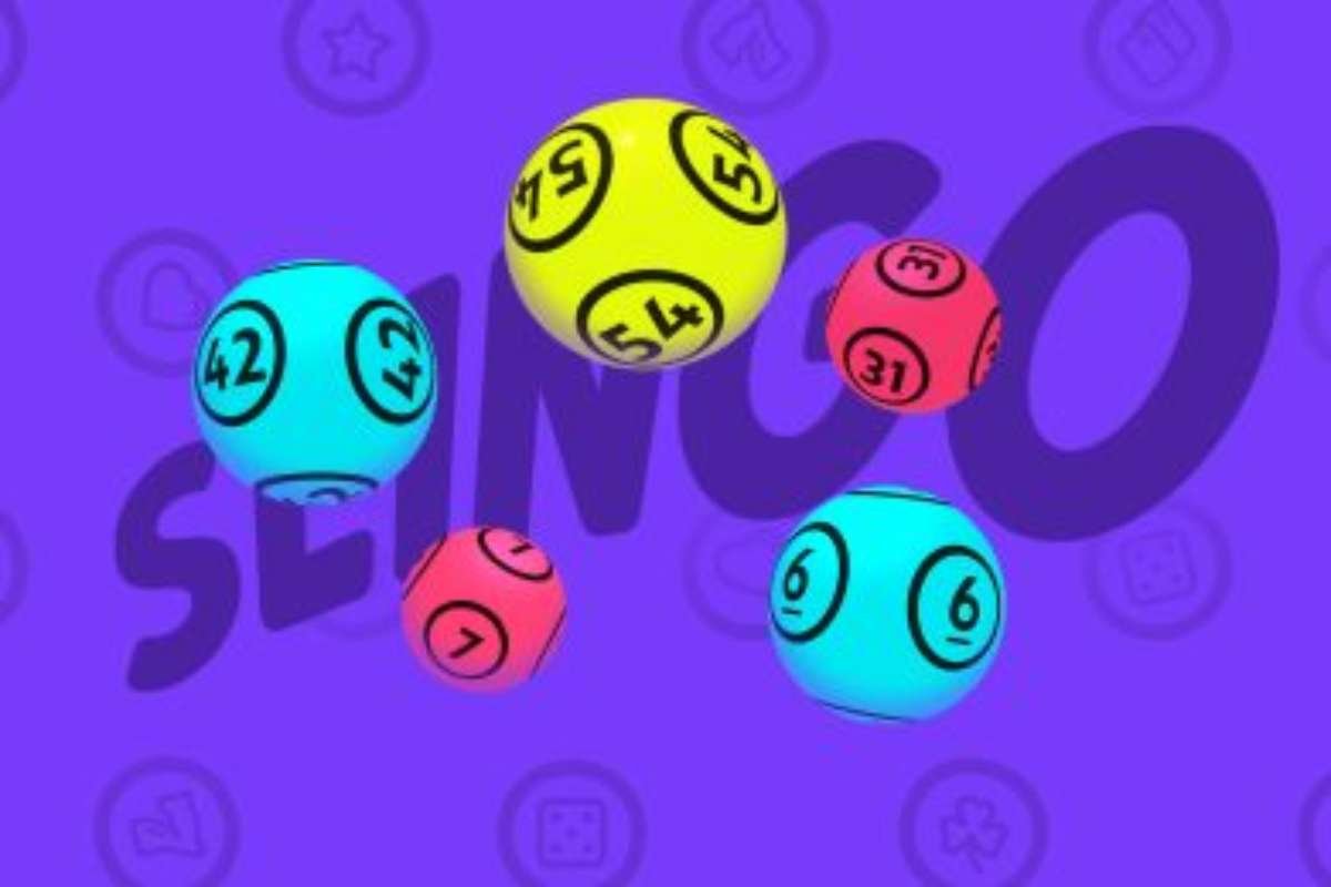 Slingo: A Simple Idea Produces a Record Year | The Enterprise World