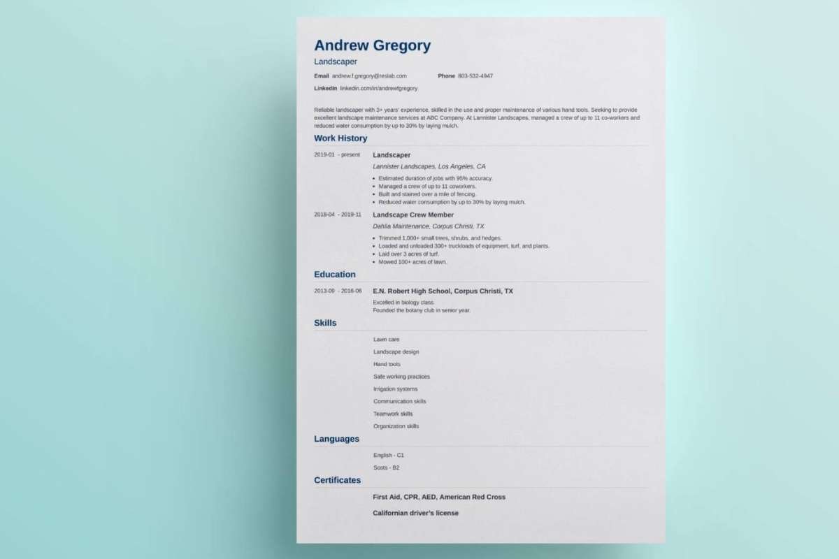 How to Update Your Resume for Your Next Career Move in 2026 | The Enterprise World