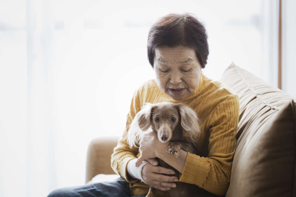 What Are Emotional Support Animal Laws in Florida for 2026? | The Enterprise World