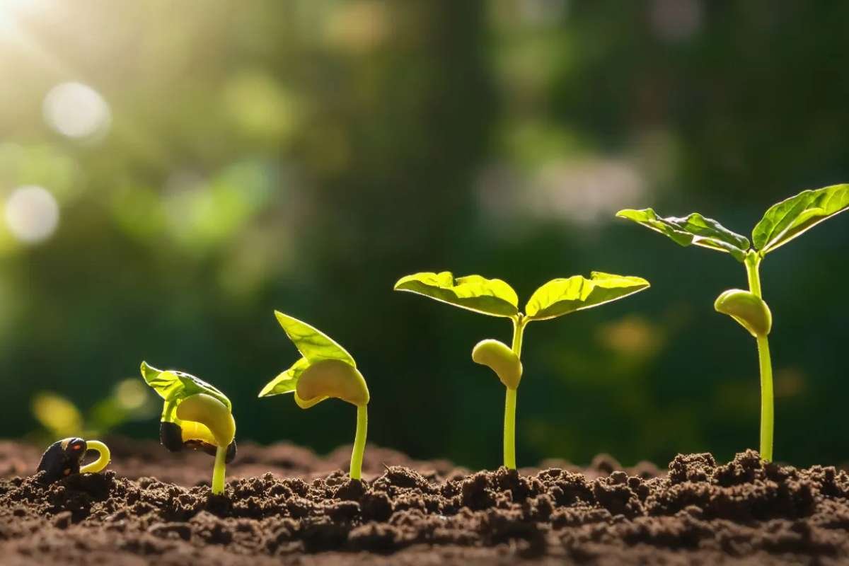 7 Essential Steps for Retirement Planning Success | The Enterprise World