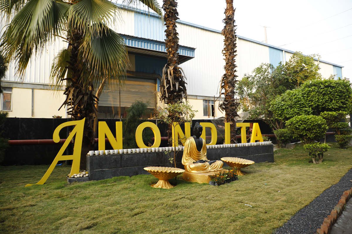 Anupam Ghosh- Healthcare Business Leader | Anondita Medicare Ltd | The Enterprise World