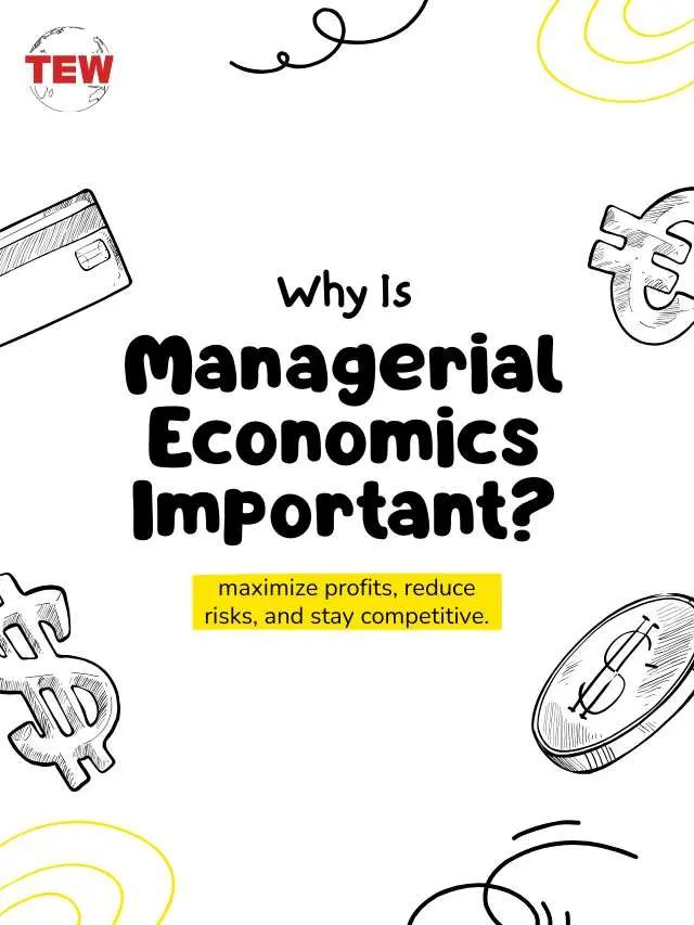 Importance of Managerial Economics in Achieving Business Efficiency | The Enterprise World