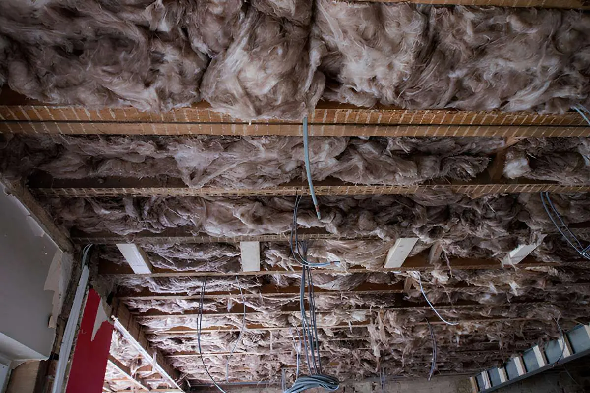 Cellulose vs Fiberglass Blown-In Insulation: Which Is Better? | The Enterprise World