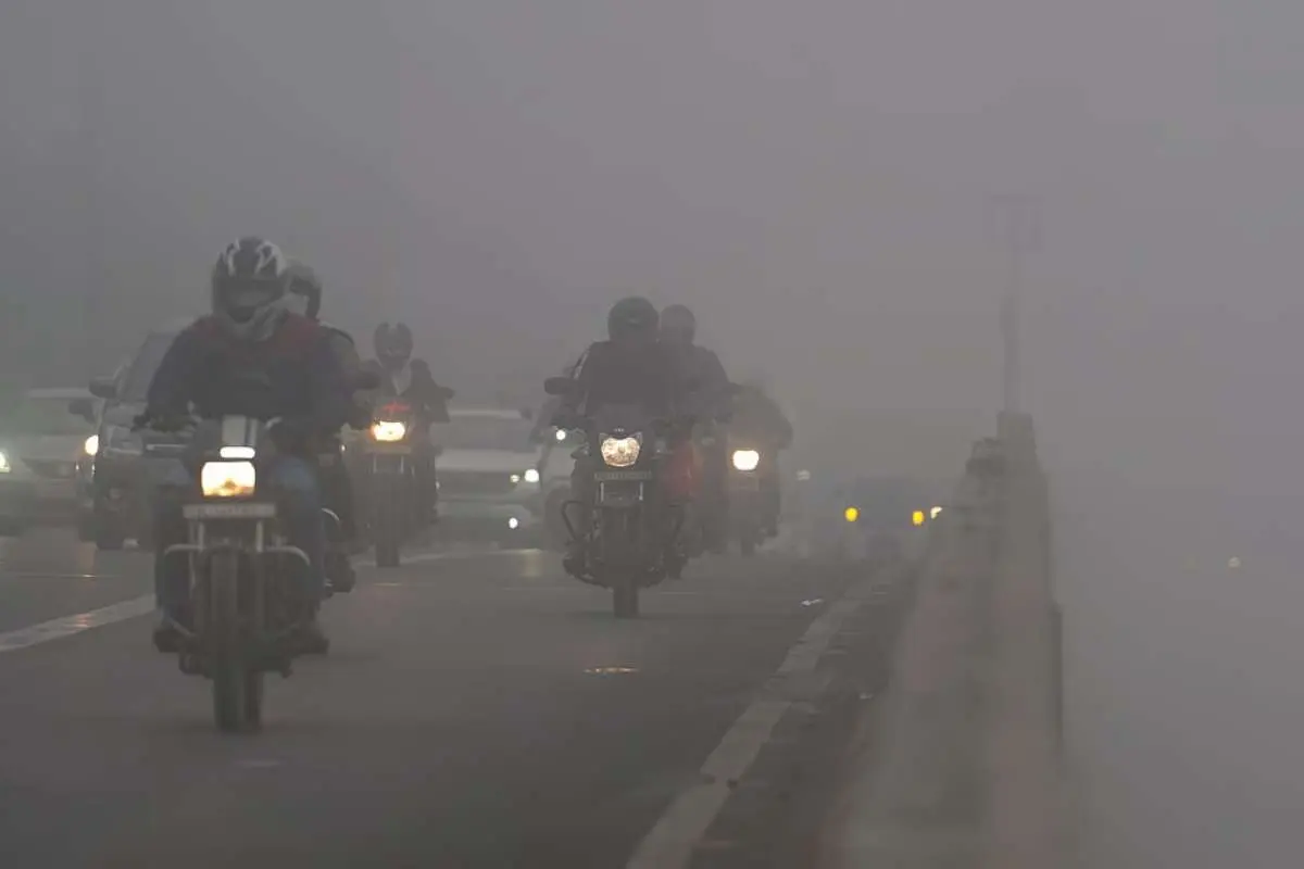 Factors Contributing to Motorcycle Accidents & Liability | The Enterprise World