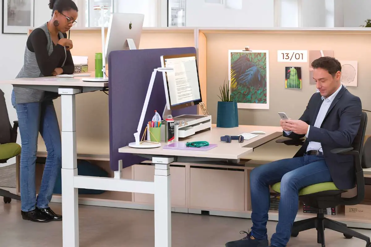 Comfortable Office Furniture for Employee Productivity | The Enterprise World