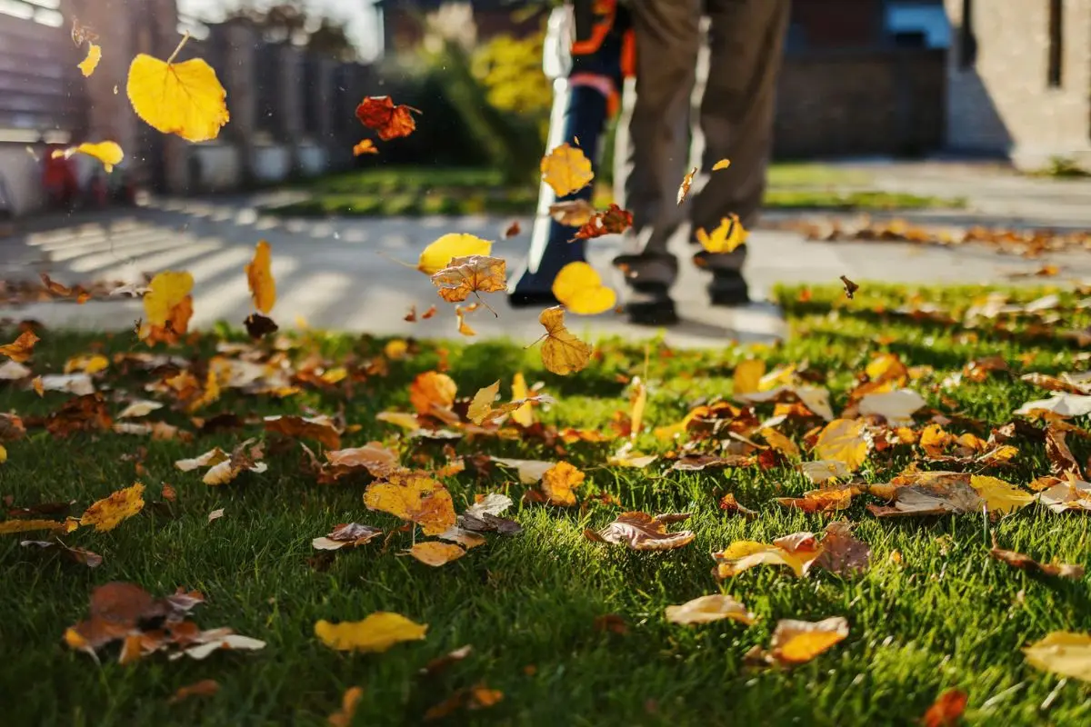 Fall Yard Prep: Getting Your Landscape and Sprinklers Ready for Winter | The Enterprise World