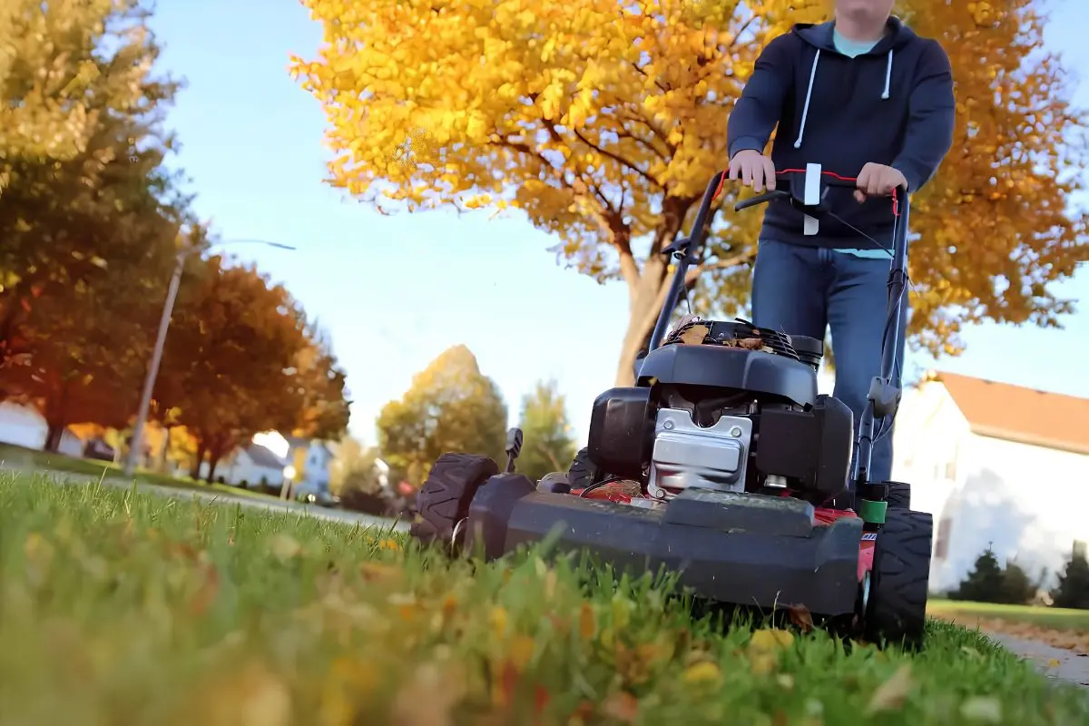 Fall Yard Prep: Getting Your Landscape and Sprinklers Ready for Winter | The Enterprise World