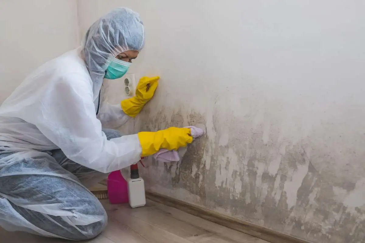 Restoration Company in Maine: Octagon Cleaning & Restoration | The Enterprise World